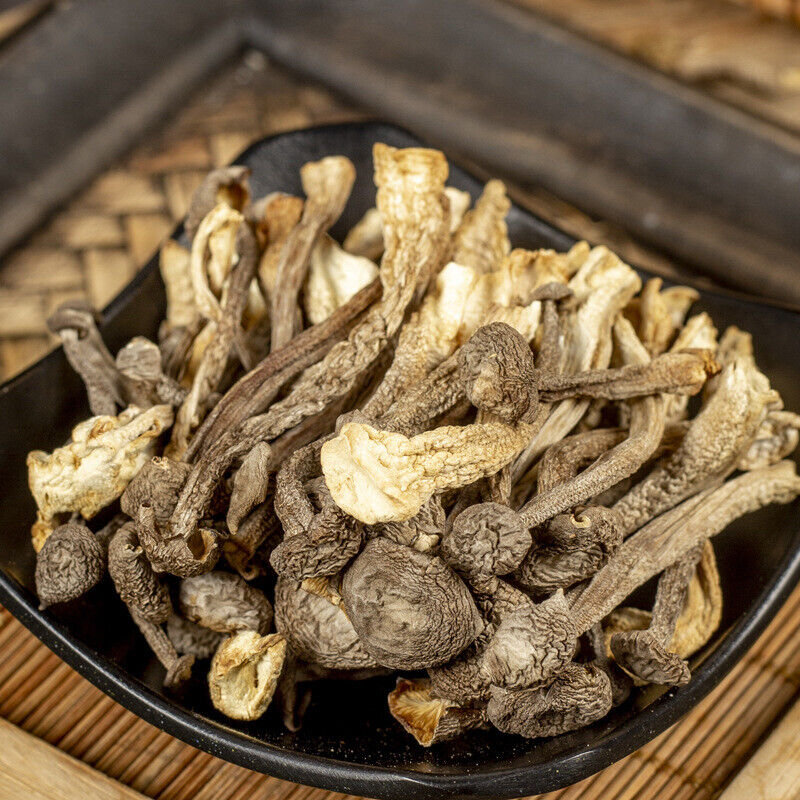 50g Deer Antler Mushroom: Fresh Crispy, Perfect for Soup