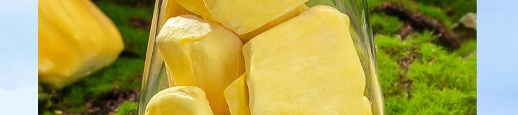 Jackfruit Dried Fruit Freeze-dried Jackfruit Casual Snacks  20G