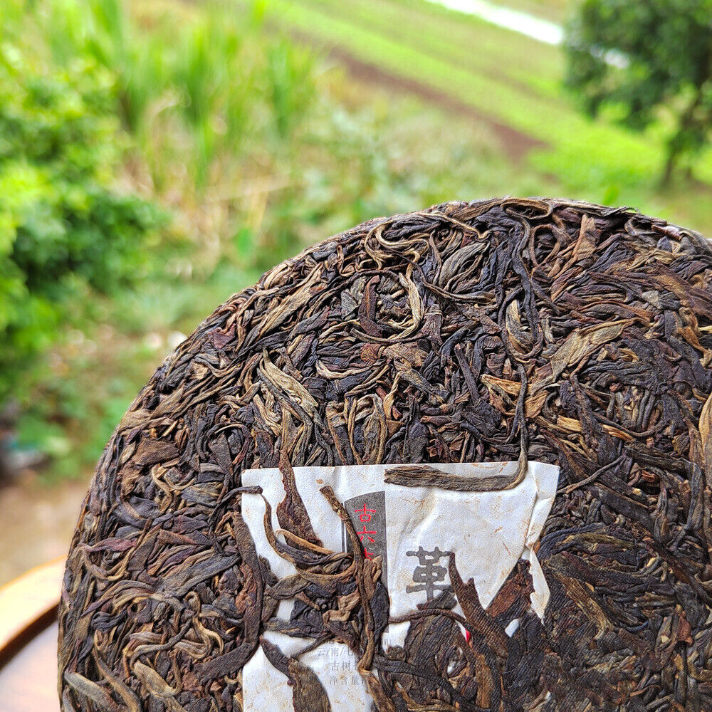 HelloYoung Pu'er Old Raw Tea Menghai Seven Cakes Yunnan Gedeng Yiwu Aged Old Raw Cake