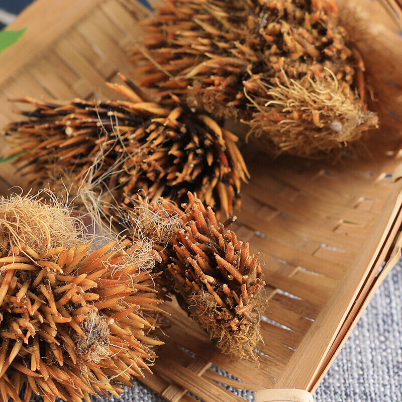 HelloYoung 50g 100% Chinese Herbal Tea正品刺猬皮 High Quality Authentic Hedgehog Skin Ciweipi Main image