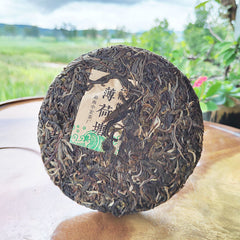 HelloYoung 200g MintHotang Ancient Tree Tea Yiwu Old Tree Raw Pu'er First Spring Jiaoji Tea