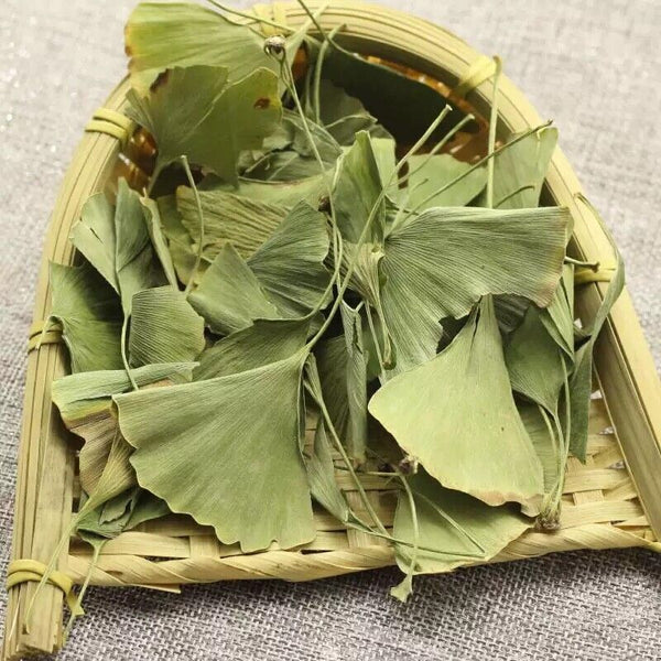 Natural Dried Gingko Biloba Tea Dry Green Gingko Healthy Herbal Gingko Tea 500g