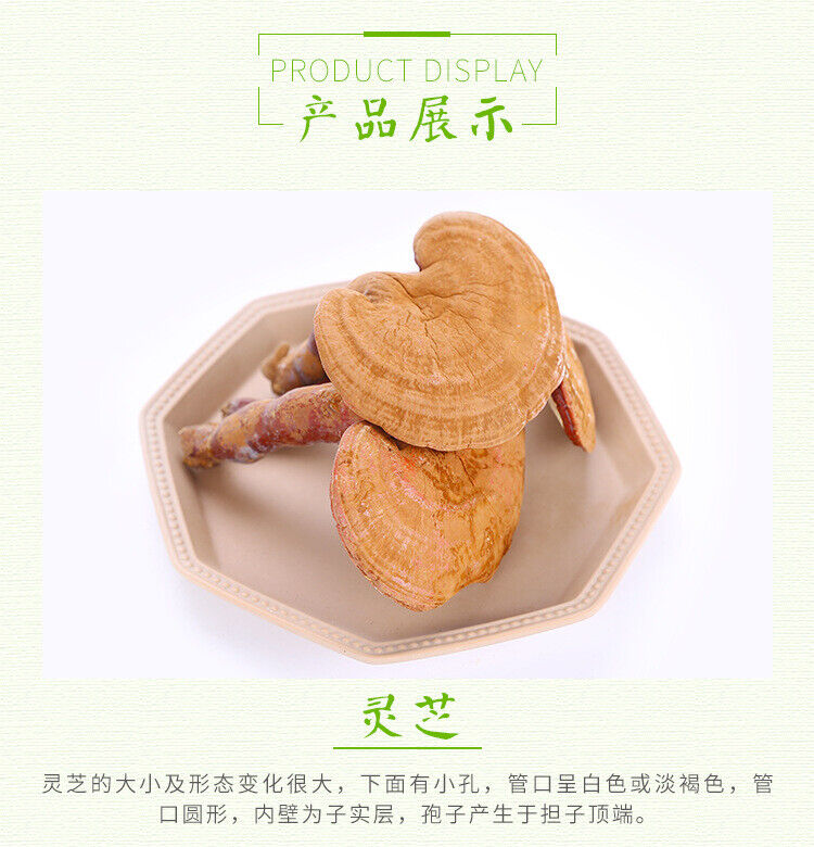 Changbai Mountain Ganoderma Lucidum Red Lingzhi Purple Lingzhi Edible Fungi 500g