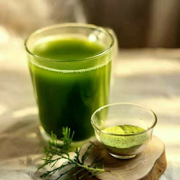 Barley Grass Powder Pure Organic Natural