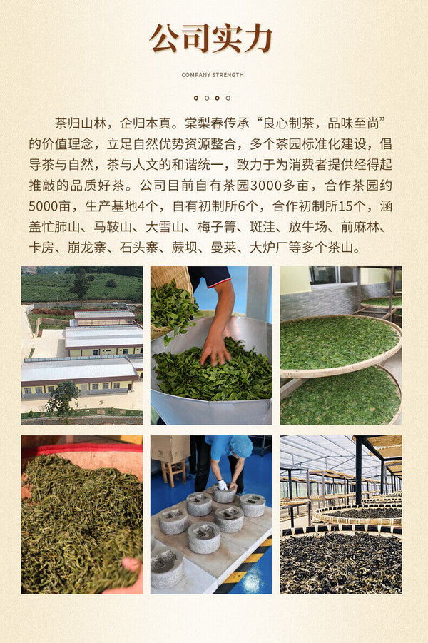 Crushed Silver Cooked Pu'er Tea Cooked Glutinous Aroma Premium Black Tea 500g