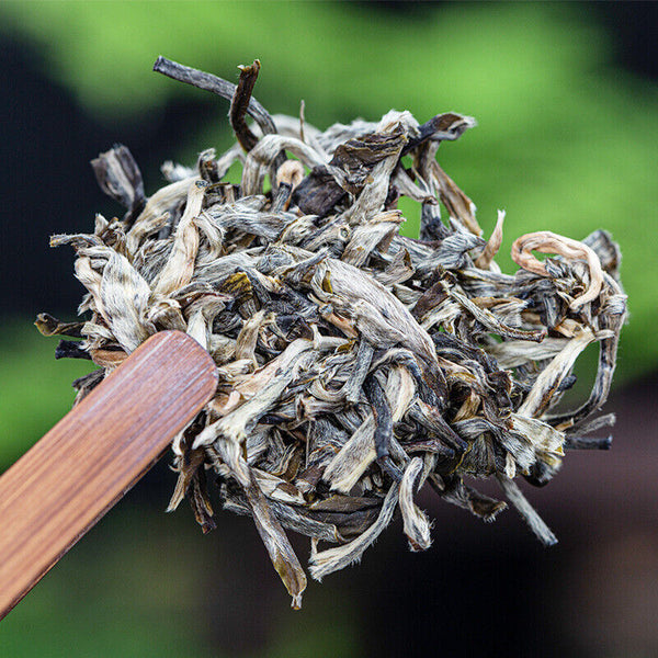 HelloYoung 257g Yunnan Pu'er Tea Old Banzhang Raw Tea Healthy Drink