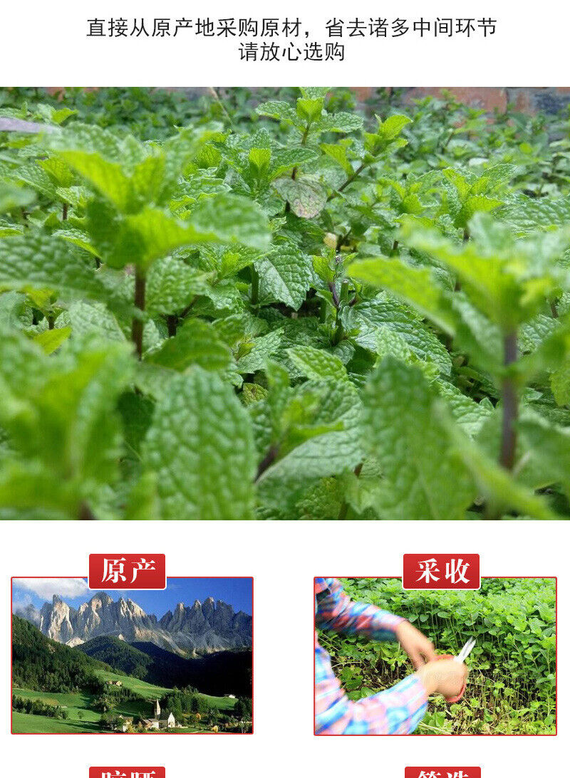 Bulk Dried Mint Powder Edible Mint Leaf Powder Supply Green Mint Leaf 500g
