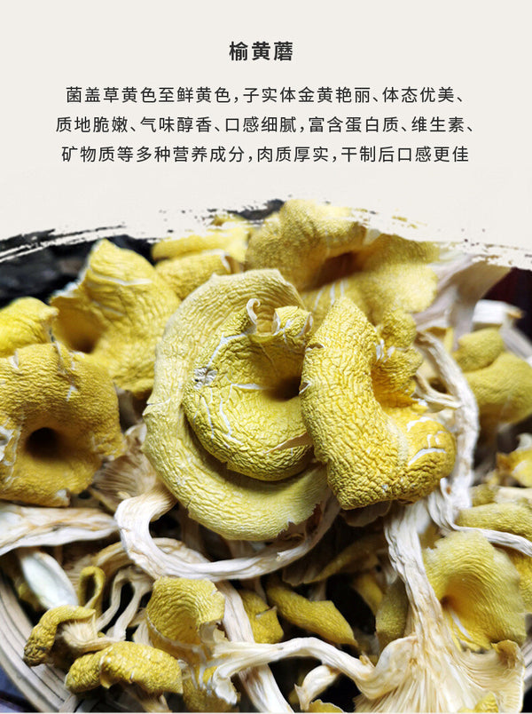 Chicken Oil Mushroom  Yunnan Specialty Yellow Silk Mushroom Soup