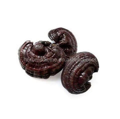 500g Dried Lingzhi Mushroom Cultivation Ganoderma Lucidum Meat Mushroom