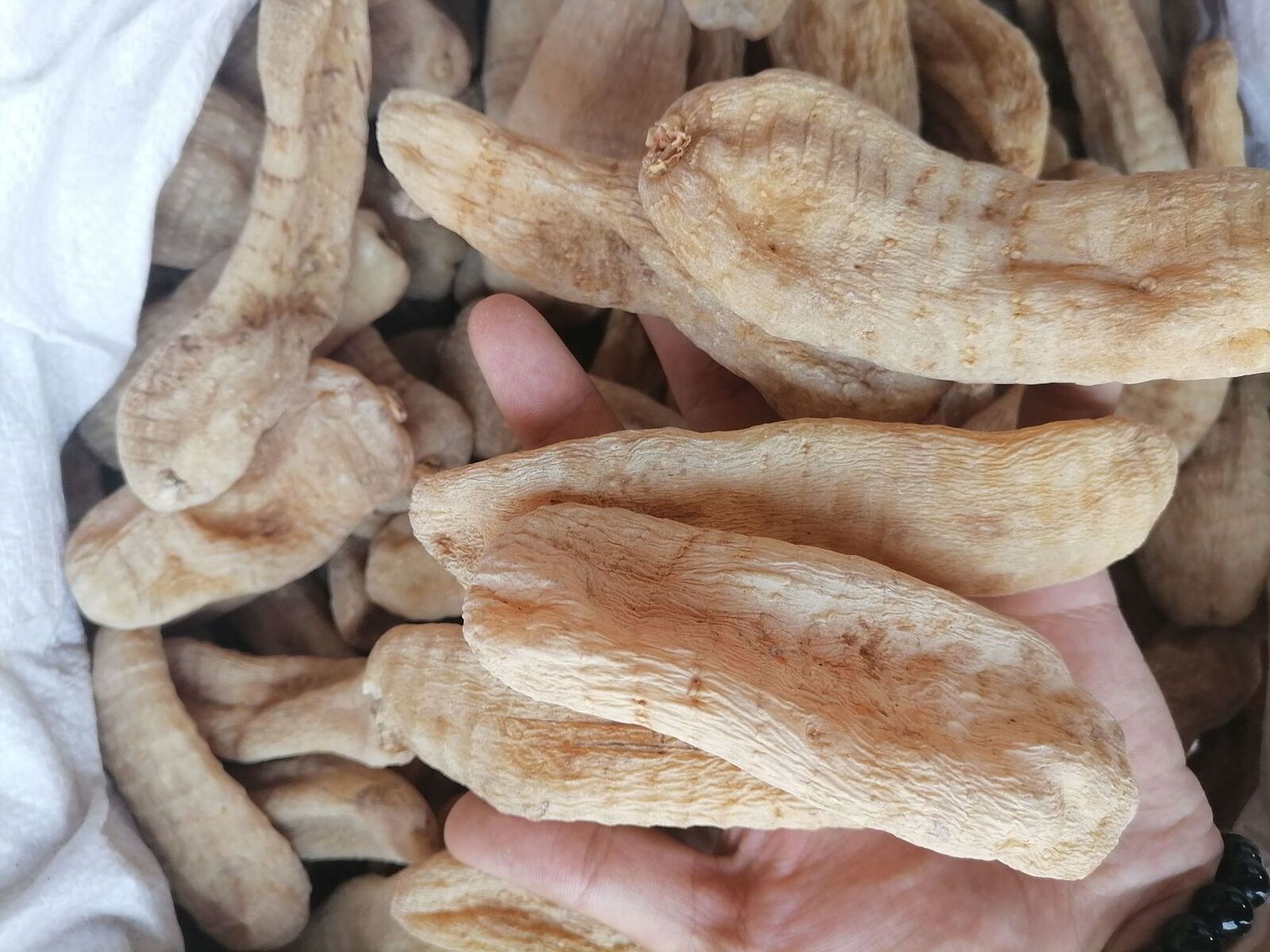 HelloYoung New Dried Tianma Yunnan Wu Tianma Tianma Slices Fresh Xiao Cao Ba 500/1.1lb