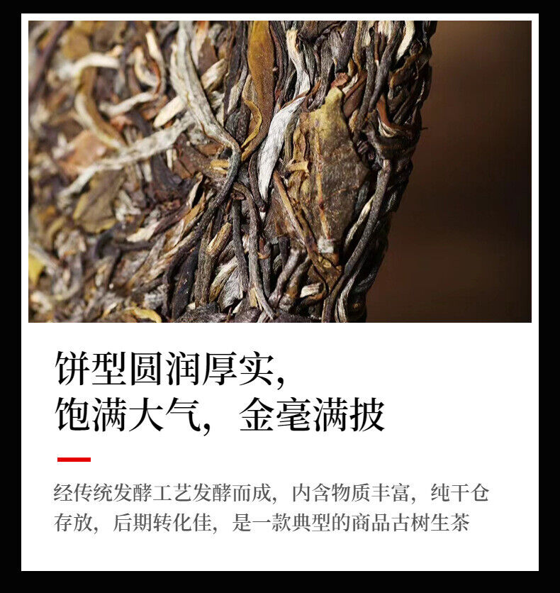 HelloYoung Yunnan Tea Yiwu One Fan Mill 357g Gushu Pu'er Raw Tea Cake