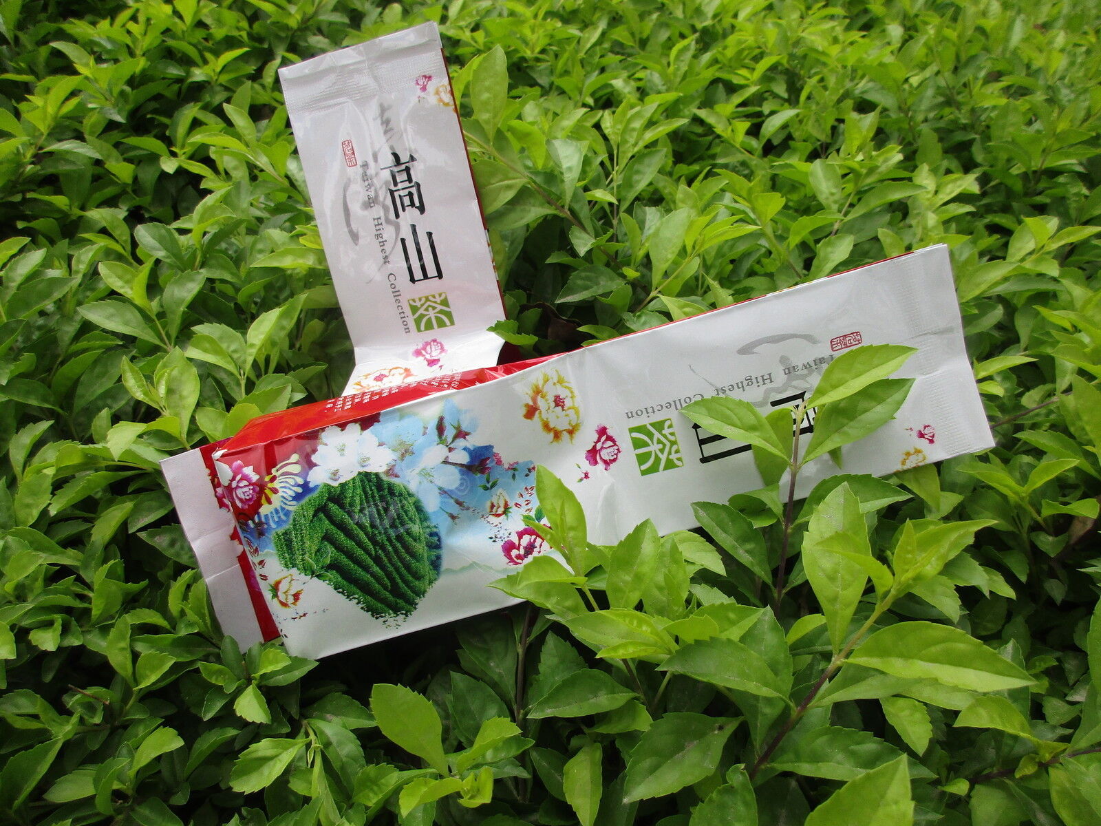 125g Milch Oolong Tee Tieguanyin Grüner Tee Taiwan JinXuan Milch Oolong Milchtee