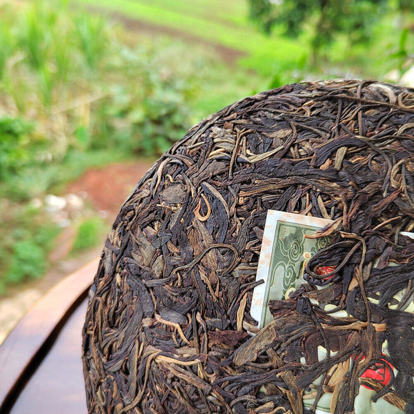 Unfermented Puer Tea Cake Gaoli High Quality Organic Puer Tea 357g/12.59oz
