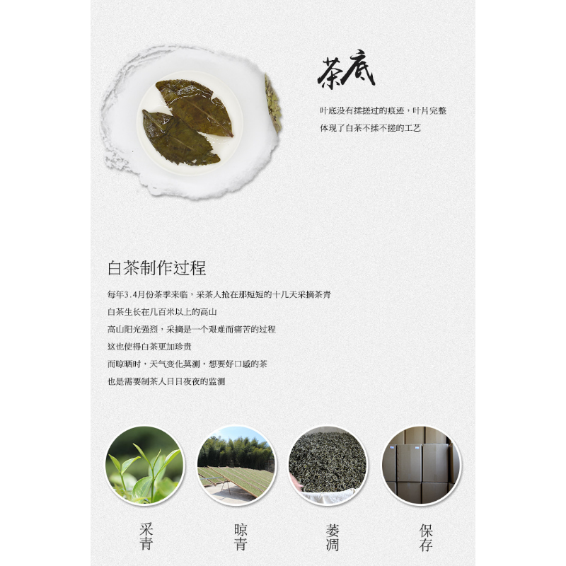 Old White Tea 300g Fuding White Tea Alpine Wilderness Old Ancient Tree Gold Leaf