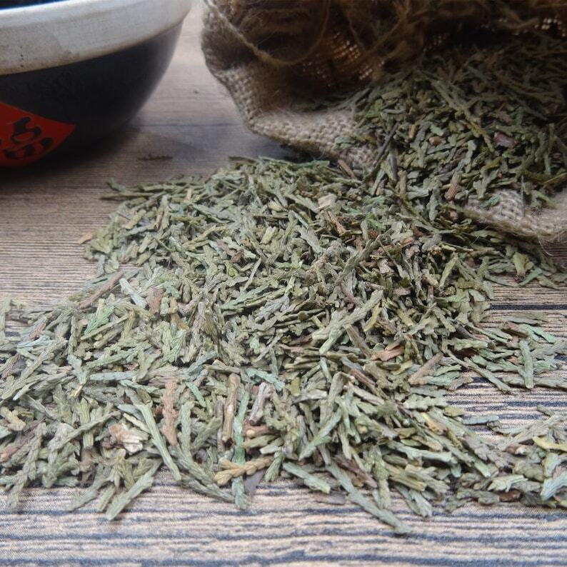 250g Cacumen Platycladi, Cacumen biotae, Ce Bai Ye, Arborvitae tops Dried Herbs Secondary image