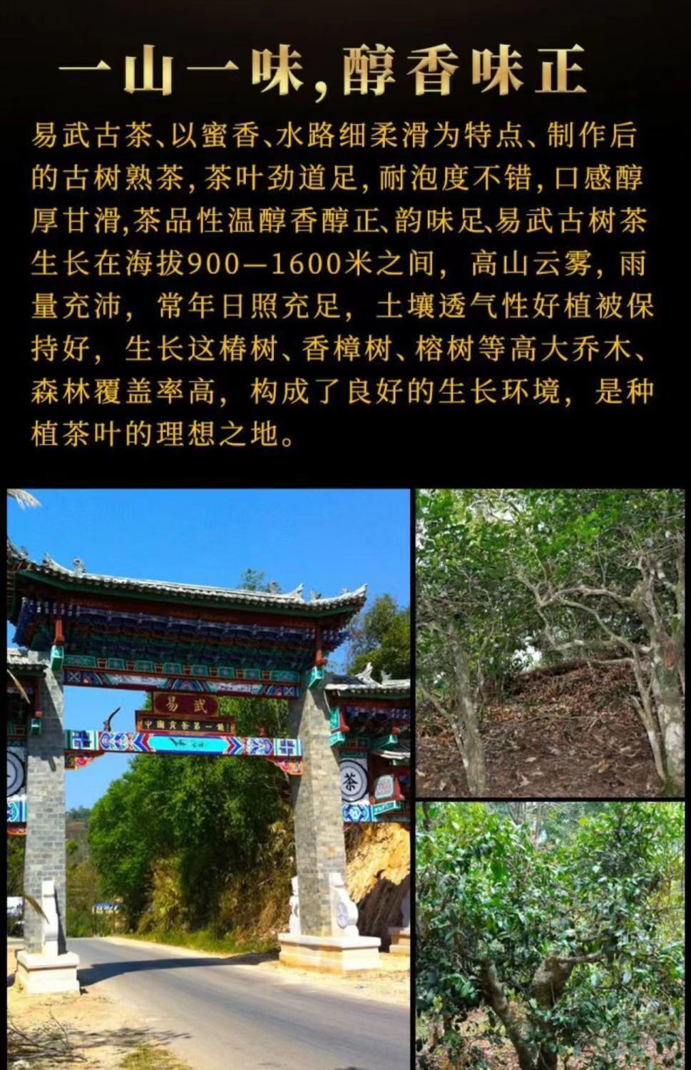 HelloYoung Yunnan Ancient Tree Old Pu'er Tea Cake Ripe Tea Cake 357g