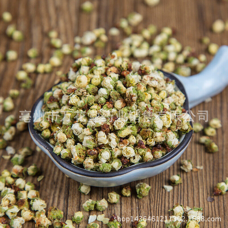 Healthy Green Plum Blossom Flower Tea Flower Bud of Japanese Apricot Herbal Tea