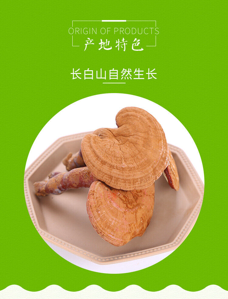 Changbai Mountain Lingzhi Tablet Red Ganoderma lucidum Wood Ganoderma lucidum