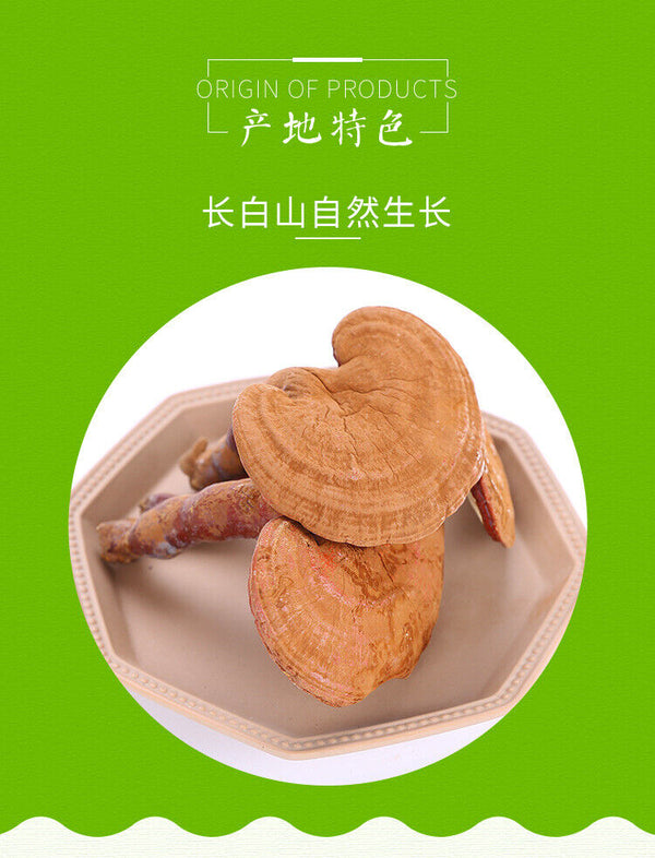 Changbai Mountain Lingzhi Tablet Red Ganoderma lucidum Wood Ganoderma lucidum
