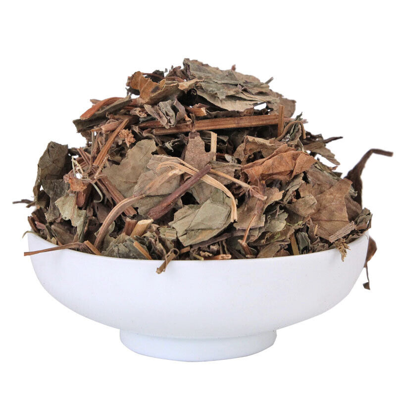 HelloYoung Fishweed Tea Large stock Folded Ear Root Fishweed Dried Chinese Herbs 500g/1.1lb