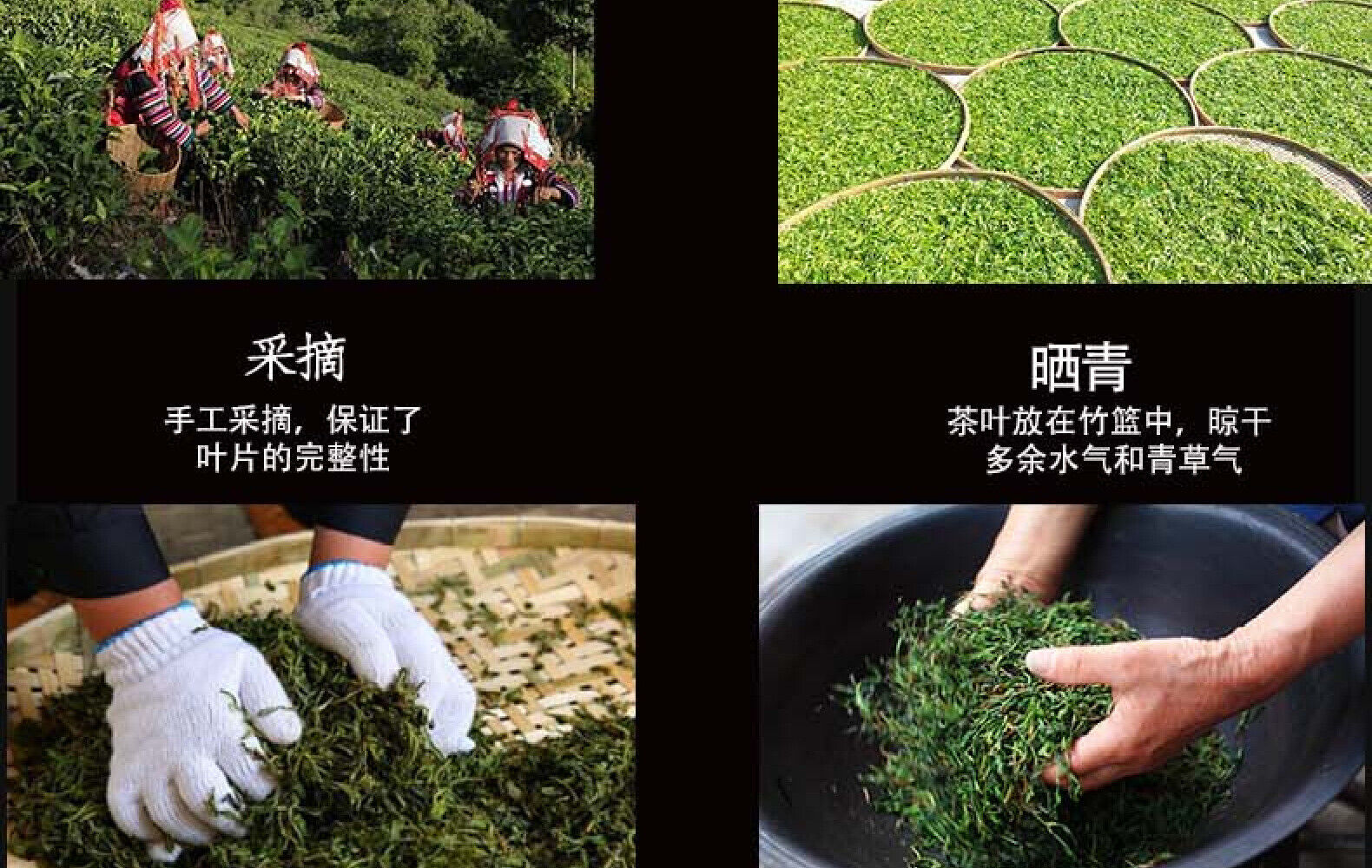 HelloYoung Yunnan Tea Iceland Laozhai First Spring Reserve Pu'er Raw Tea 357g Cake Tea