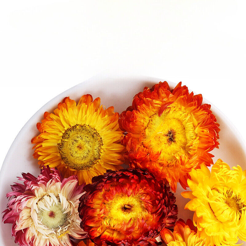 Chrysanthemums Dried Chrysanthemums Bulk Herbal Tea 500g Main image