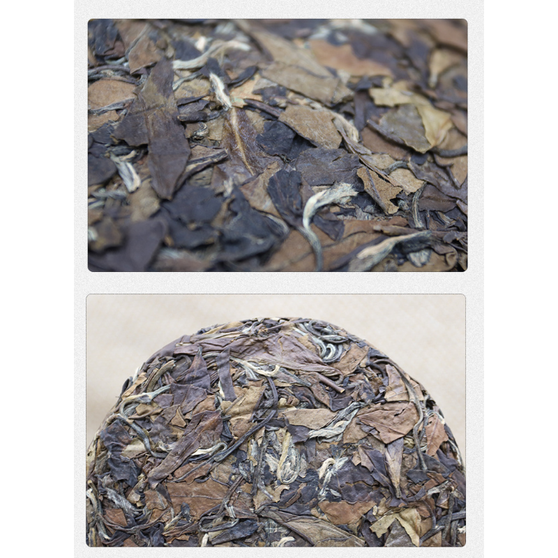 Fuding White Tea Shou Mei Tea Cake Gift Tea 100g*3 Alpine Sun Date White Tea