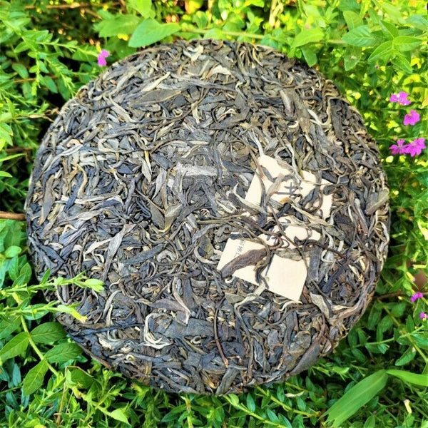 HelloYoung High Quality Yunnan Qizi Cake Green Tea Ancient Tree Xigui Pu'er Tea 357g