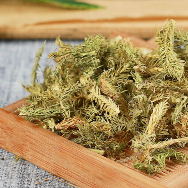 HelloYoung 500g Shenjincao Healthy Herbal Tea Top Quality Healthy Drink Shujincao 精选伸筋草 舒筋草