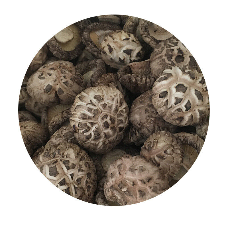 HelloYoung Premium Dried Tea Flower Edible Mushroom Chinese Herbal Fungi Bag Package 250g