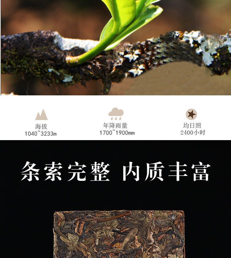 HelloYoung 1kg Yunnan Pu'er Icelandic Ancient Tree Golden Leaf Pu'er Raw Brick Tea