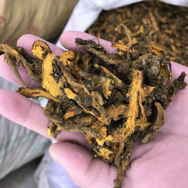 HelloYoung Chinese Herbal Medicine Huanglian Monocotyledon Yellow Lian Selected Slices 500g