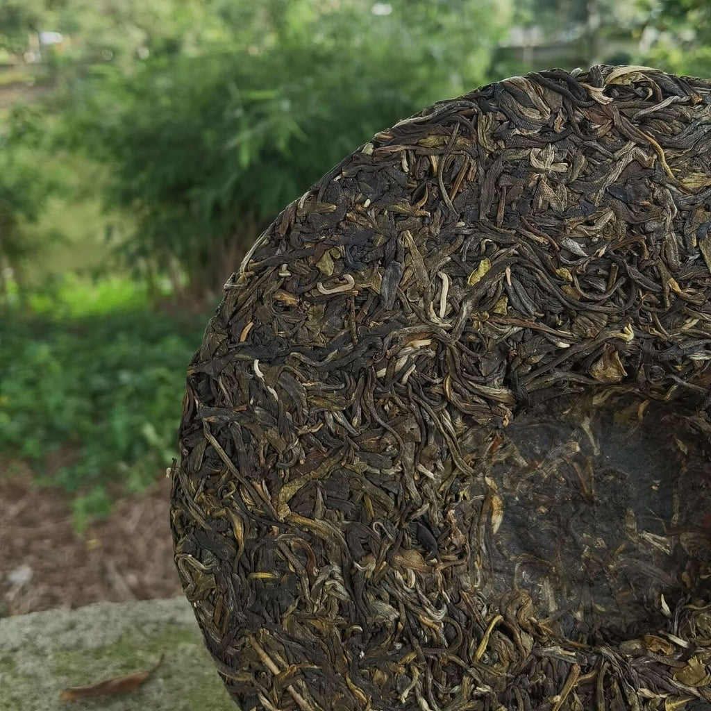 HelloYoung Yunnan Old Banzhang Old Tree Raw Puer 357g Raw Pu'er Tea Cake