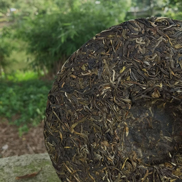 HelloYoung Yunnan Old Banzhang Old Tree Raw Puer 357g Raw Pu'er Tea Cake