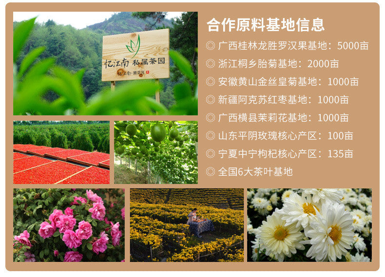 High quality Sydney Kumquat Dragon Fruit Tea Individual Sachets 120g