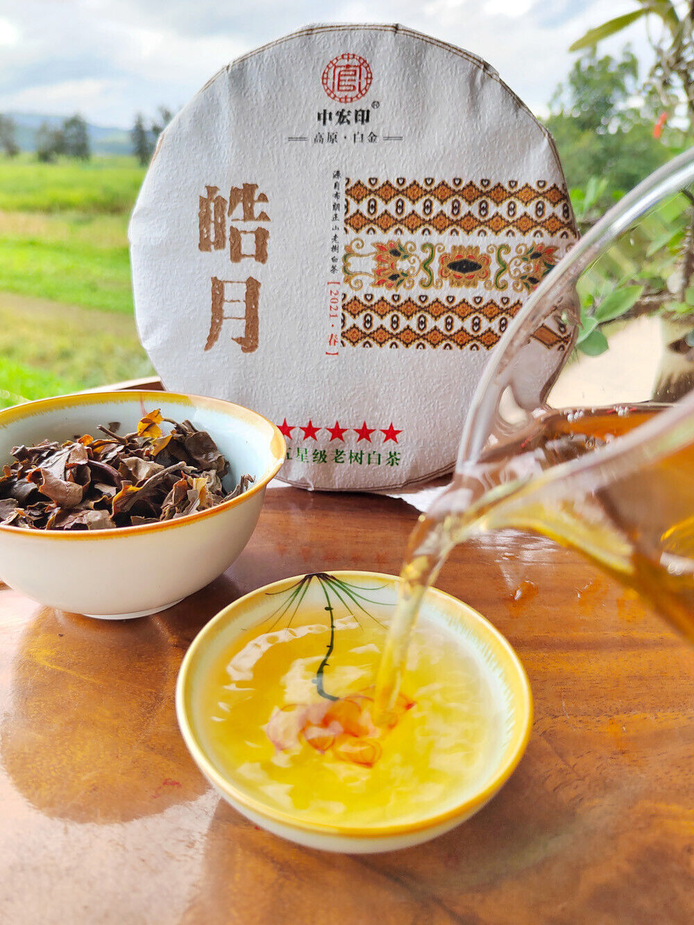 HelloYoung White Tea Pu'er Tea Old Tree White Tea Cake 300g