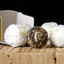 HelloYoung Pu'er Tea Dragon Ball Yunnan Specialty Yunnan Pu'er Tea 210g/7.40oz