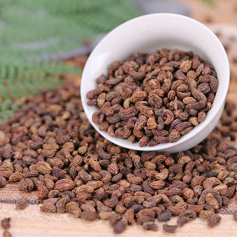 High quality 100% Natural Ligustri lucidi Fructus Nv Zhen Zi 女貞子 Chinese Herb