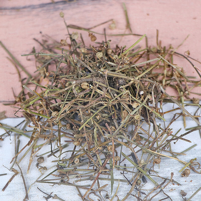 HelloYoung New Crocus sativus Herbal Medicine Crocus sativus Agricultural Product 500g