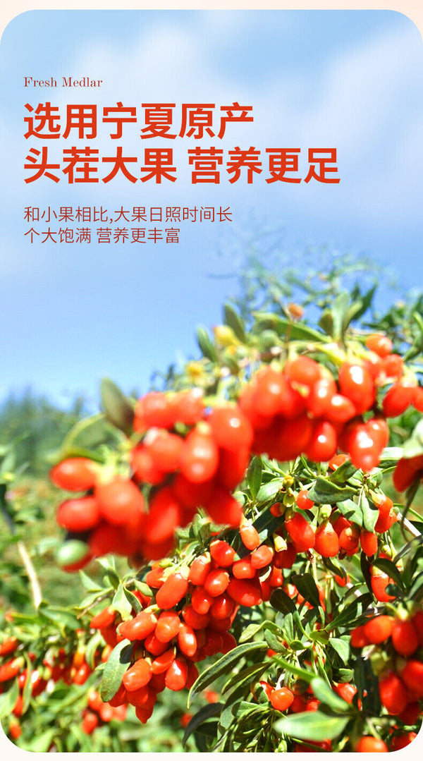 High quality Ningxia wolfberry, black wolfberry mulberry blueberry juice