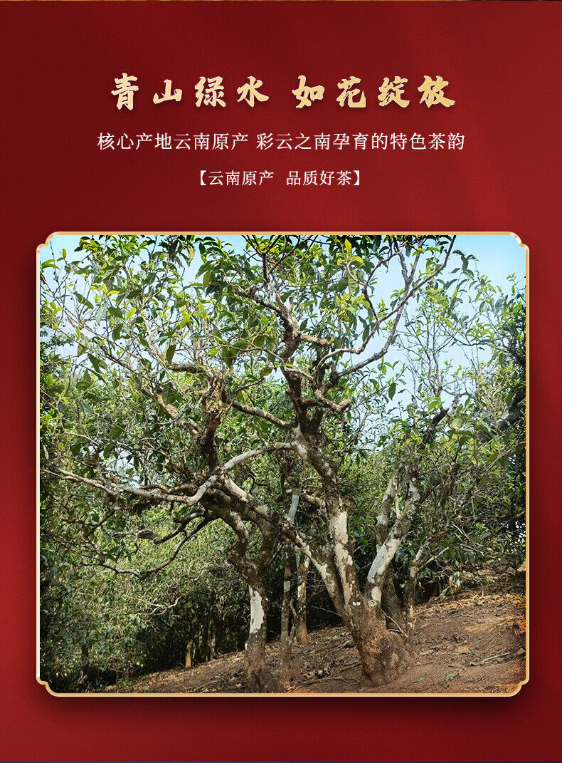 HelloYoung 357g Pu'er Tea Brown Mountain Banzhang Ancient Tree Fermented Puer Ripe Tea Cake