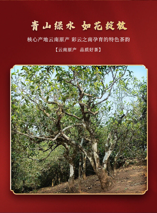 HelloYoung 357g Pu'er Tea Brown Mountain Banzhang Ancient Tree Fermented Puer Ripe Tea Cake