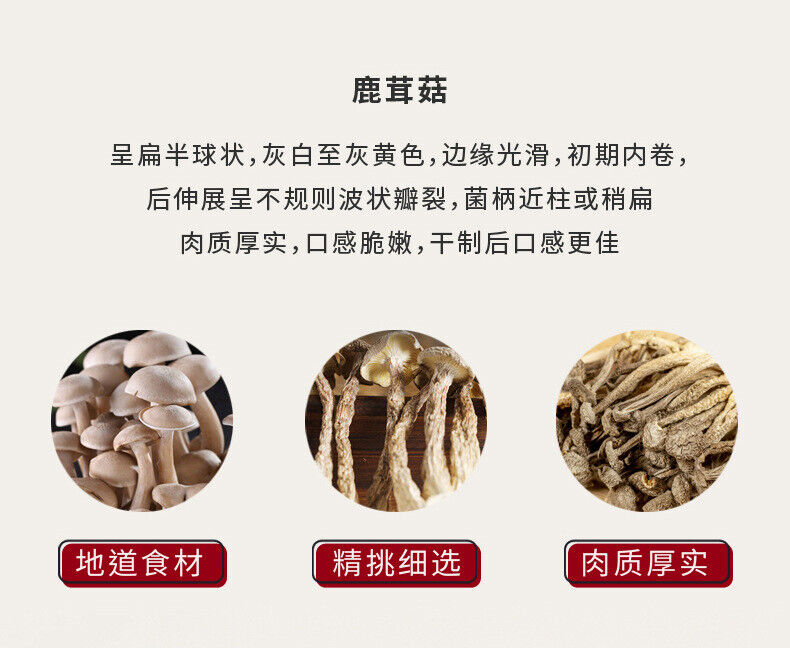50g Deer Antler Mushroom: Fresh Crispy, Perfect for Soup