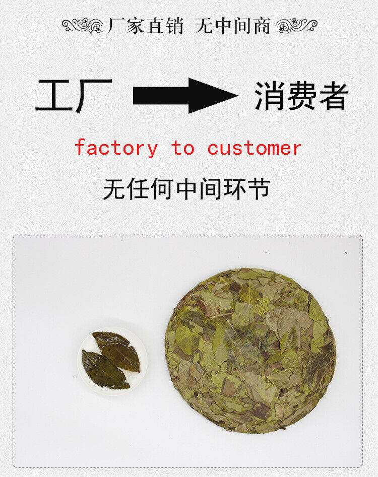 Golden Leaf White Tea   Mint Aroma White Tea Organic Ancient  300g