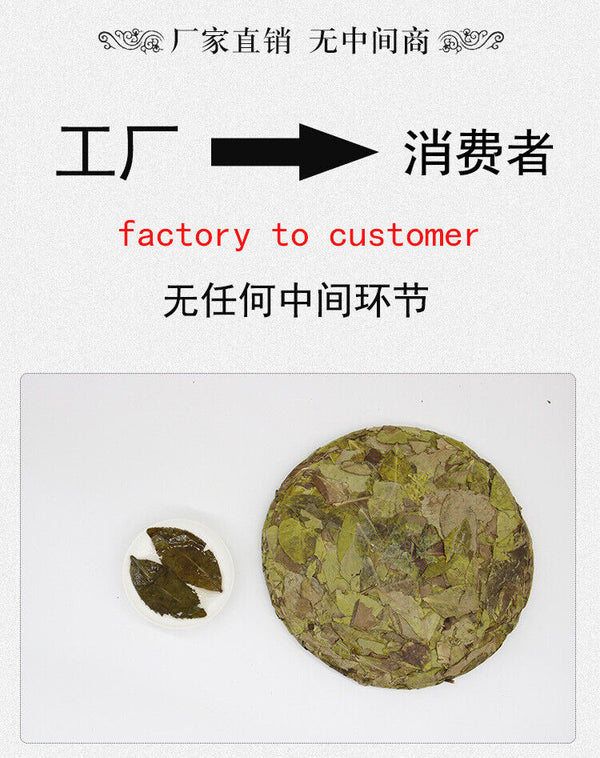 Golden Leaf White Tea   Mint Aroma White Tea Organic Ancient  300g