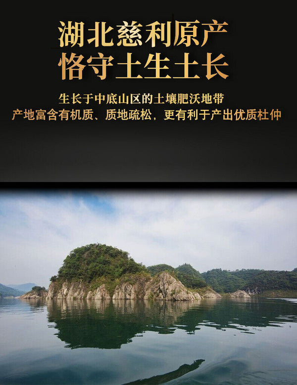 Eucommia Bark Powder Du Zhong Chinese Herbal Tea 200g 100% Pure Powder