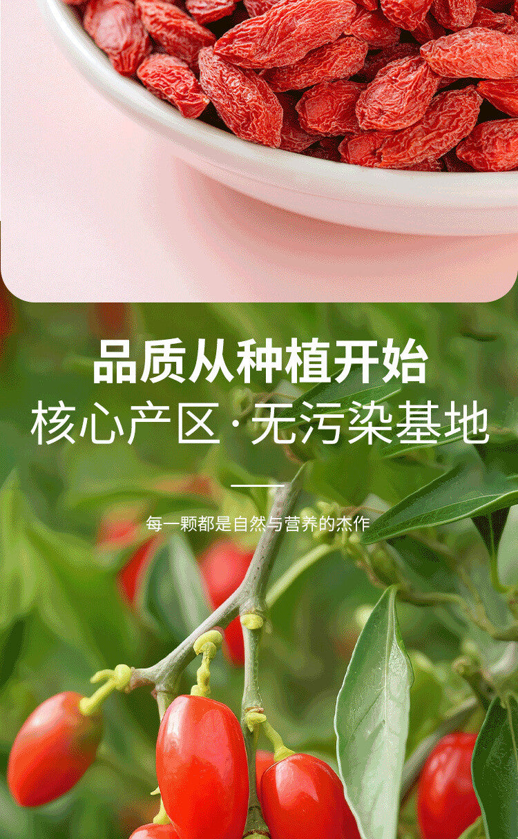Premium Ningxia Goji Berries – Jumbo Size, Canned for Tea & Soup