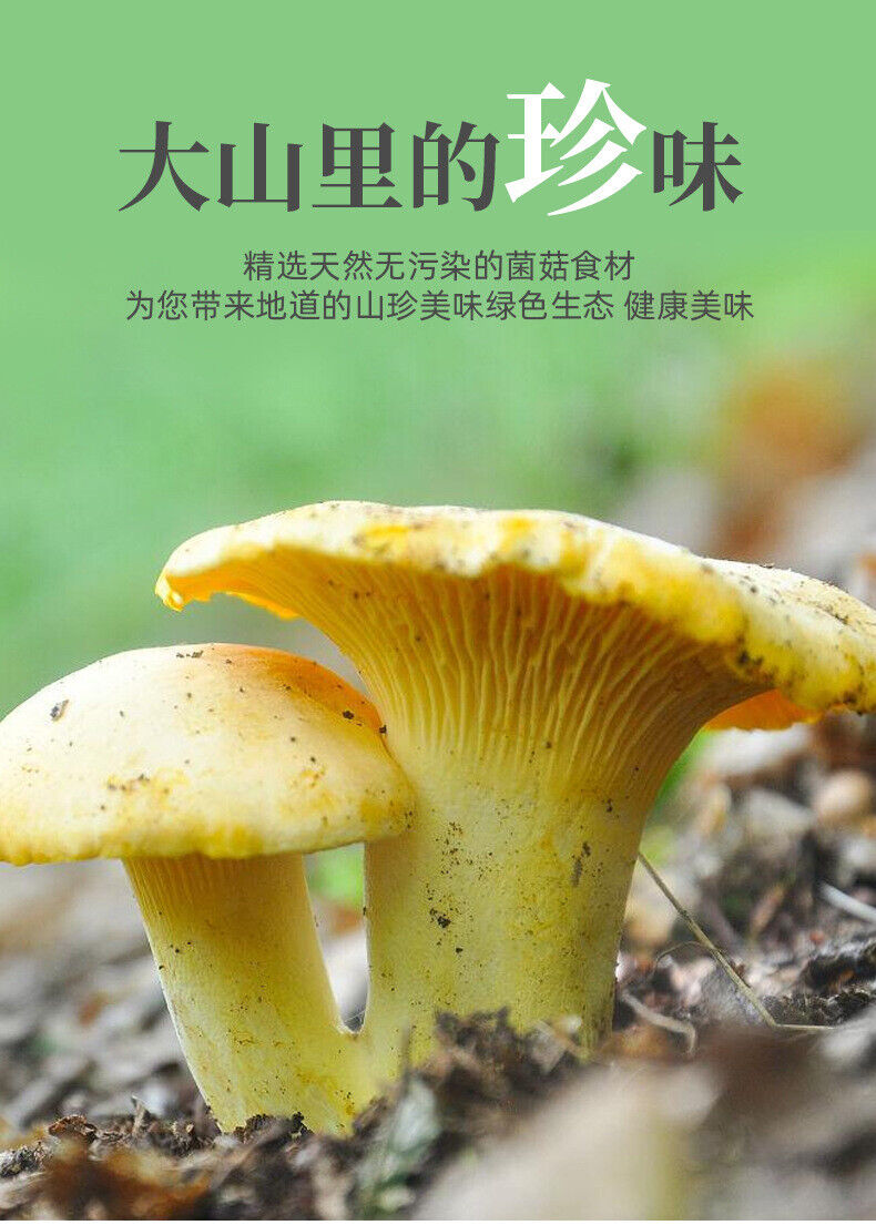 80G  Yunnan Specialty Chanterelles  Dried Yellow Silk Mushrooms Edible Mushroom