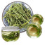 Herbal Tea Green Food China Laoshan High Quality Mountain Pink Tea Shizhu Tea