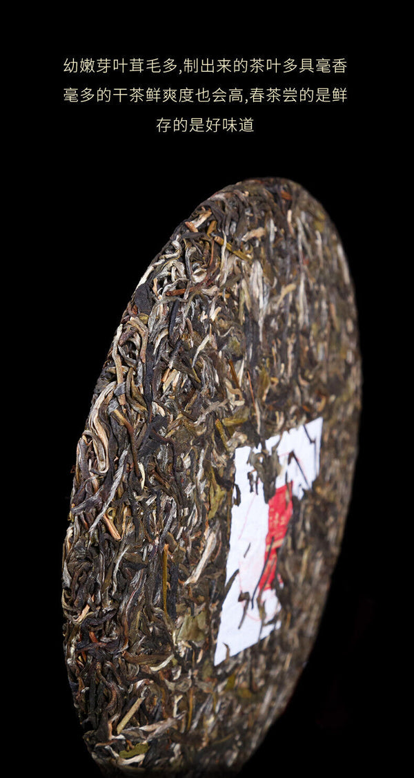 Yunnan Pu'er Tea Four Famous Zhai Laobanzhang Aged Tea 357g